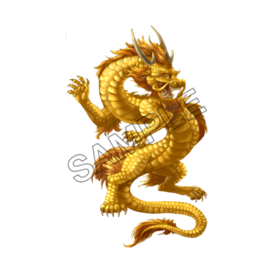 chinese new year dragon  sample image png