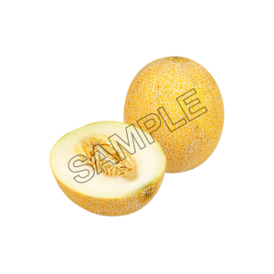 melon delicious  sample image png