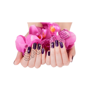 finger nails burgundy  sample image png