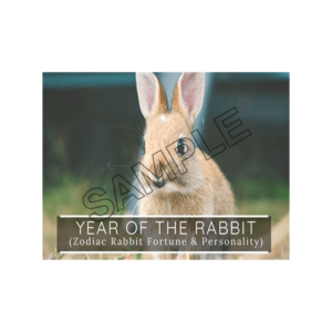 chinese new year rabbit 2023 sample image png