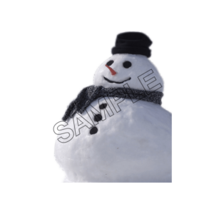 snowman sample image png