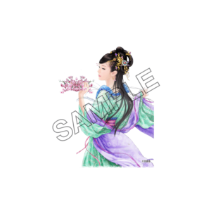 chinese costume sample image png