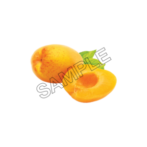 apricot adult sample image png