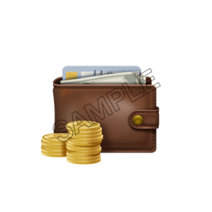 wallet with money  sample image png