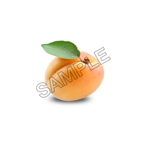 apricot full sample image png