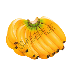 banana full-blown sample image png