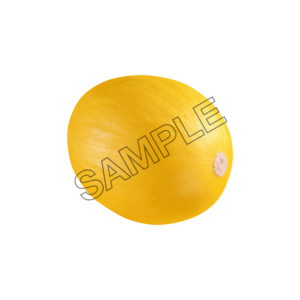 melon ambrosial  sample image png