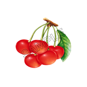 cherry natural sample image png