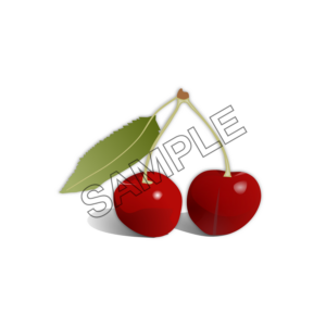 cherry just out sample image png