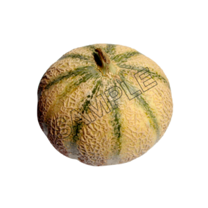 melon delightful sample image png