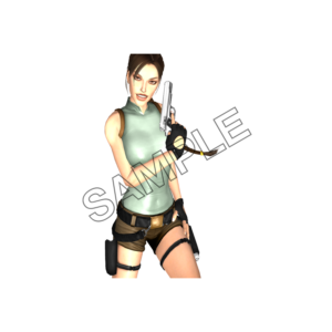 lara croft on guard sample image png