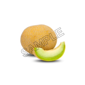 melon well sample image png