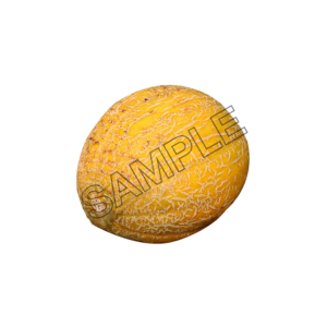 melon exquisite sample image png