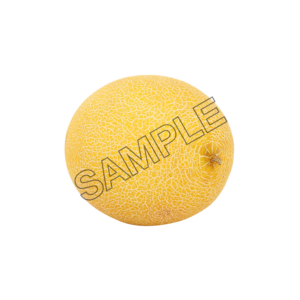 melon king fit sample image png