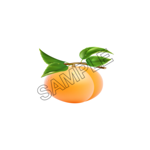 apricot  ripe sample image png