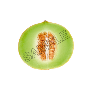 melon section sample image png