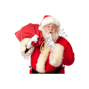 christmas santa  sample image png