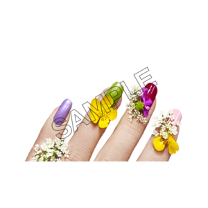 finger nails colored sample image png