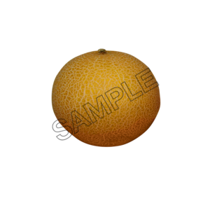 melon rich sample image png