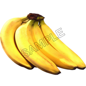 banana ripe sample image png