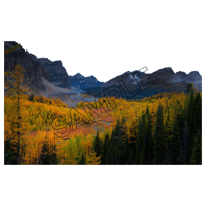 travel canada forest sample image png