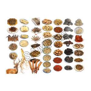 chinese food sample image png