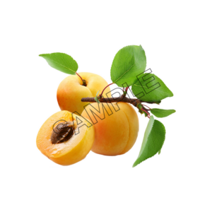 apricot group sample image png