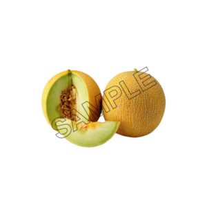 melon tasty sample image png