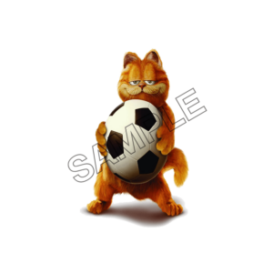 garfield and football sample image png