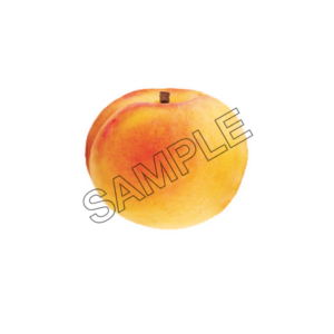 apricot mature sample image png