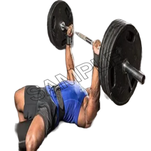 Bench Press png