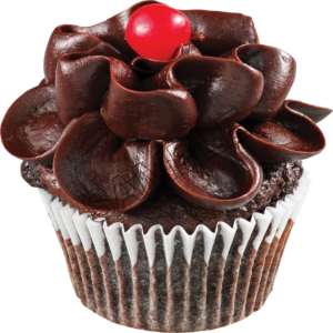 chocolate cake sample image png