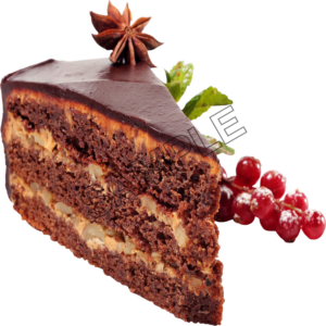 chocolate cake sample image png