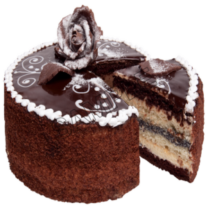 chocolate cake sample image png