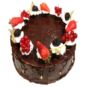 chocolate cake sample image png