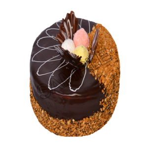 chocolate cake sample image png