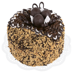 chocolate cake sample image png