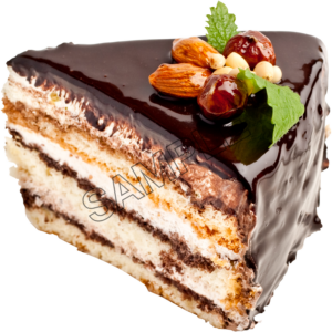 chocolate cake sample image png