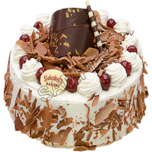 chocolate cake sample image png