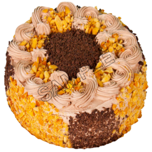 chocolate cake sample image png