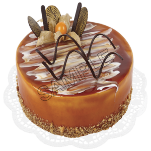 chocolate cake sample image png