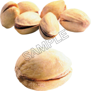 Pistachio Great sample image png