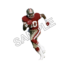 jerry rice  sample image png