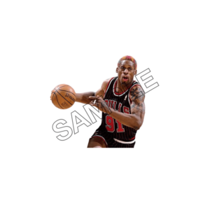 dennis rodman  sample image png