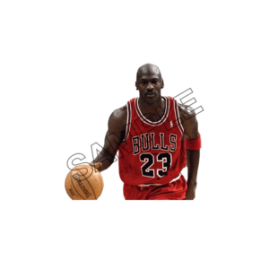 michael jordan sample image png