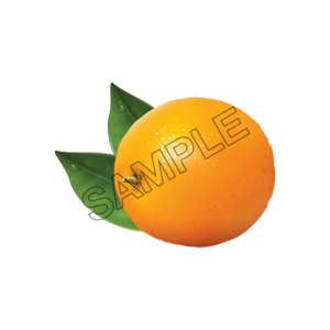 orange natural sample image png