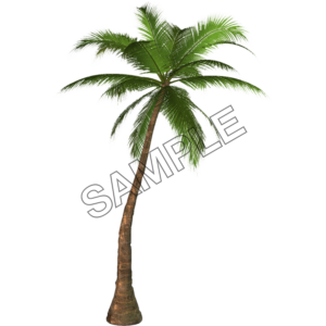 palm island tree sample image png