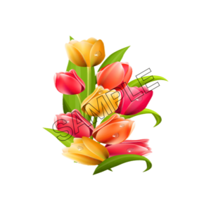 tulip sample image png