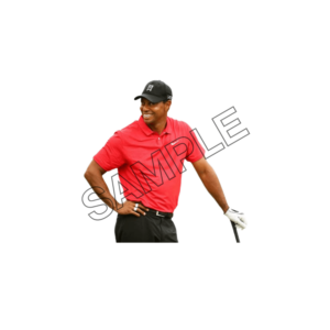 tiger woods sample image png 