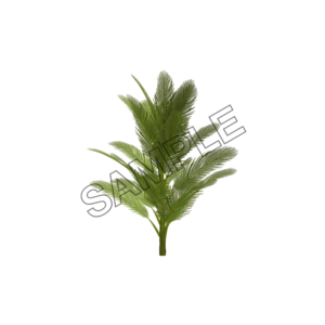 palm branched tree sample image png